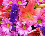 Popova-cvety.jpg