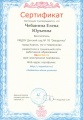 Chebanina E.Ju.Portfolio-2012- sertifikat1.jpg