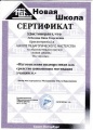 Лебедева Н.Г. КП 2014 Сертификат 22.jpg