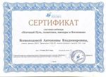 ВсеволодоваАВ КЭП 2017 Сертификат вебинар Дрофа2 001.jpg