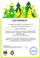 Petunina N A Portfolio-2014 сертификат зелёная школа России.jpg