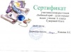 Казакова Л.В. КП-2014 sertifikat09.jpg