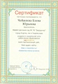 Chebanina E.Ju.Portfolio-2012- sertifikat3.jpg