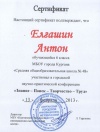 Баева Л.Н. КП-2014 Сертификат 7.jpg