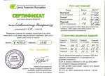 Ботова В.В. КП - 2014 - сертификат ученика 1.jpg