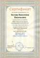 Ботова В. В. КП-2014 - сертификат о наличии сайта.jpg