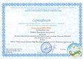Ботова В.В. КП - 2014 - сертификат Классики 1 классы 2012.jpg