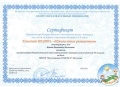 Ботова В.В. КП - 2014 - сертификат Классики 3-4 классы 2011.jpg