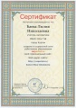 Баева Л.Н. КП-2014 Сертификат 2.jpg