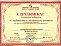 Корюкина Н.А. КЭП-2017 - сертификат 3.jpg