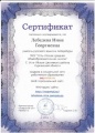Лебедева Н.Г. КП 2014 Сертификат 7.jpg