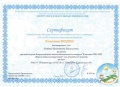 Ботова В.В. КП - 2014 - сертификат Классики 2 классы 2012.jpg