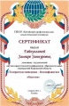 Гайнуллина Э.З. КП-2014 сертификат Катайск.jpg