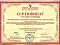 Корюкина Н.А. КЭП-2017 - сертификат 2.jpg
