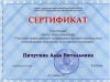 Пичугина А.В. КП-2014 Сертификат.JPG